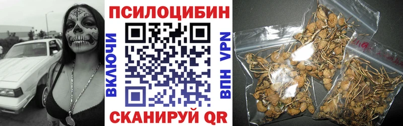 Купить закладки  Лесосибирск  Псилоцибиновые грибы Cubensis 